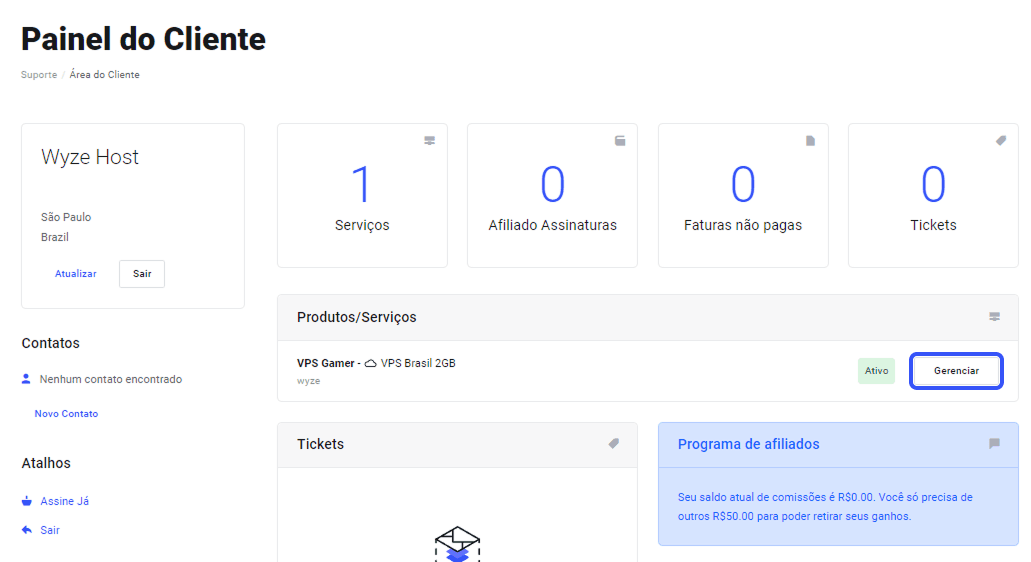 Painel de controle da WyzeHost com as informações da máquina